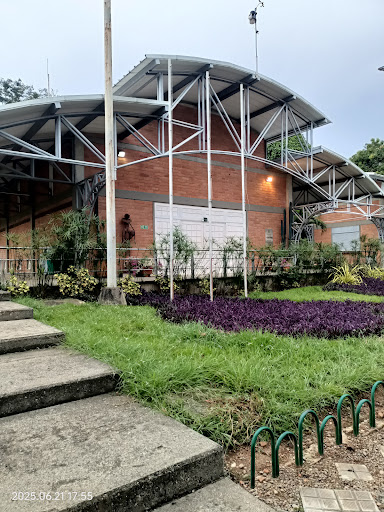 Universidad De Antioquia | Seccional Bajo Cauca