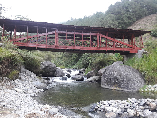 Centro Vacacional El bosque