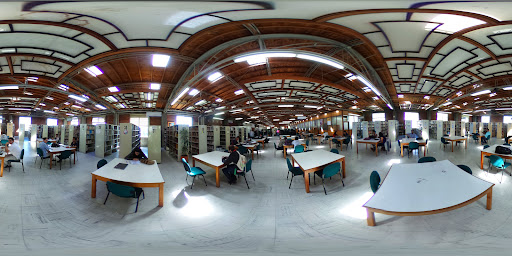 Universidad de Caldas