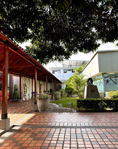 Universidad de Santander - Valledupar