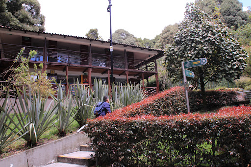 Universidad de América