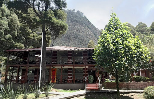 Universidad de América