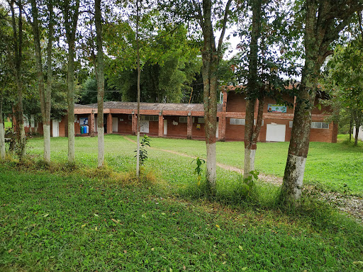 I.E.D NUESTRA SEÑORA DE LA SALUD