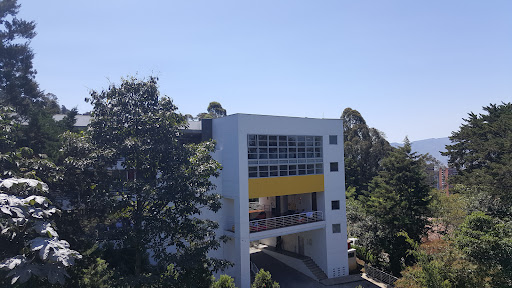 COLEGIATURA