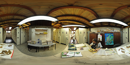 Universidad de Antioquia