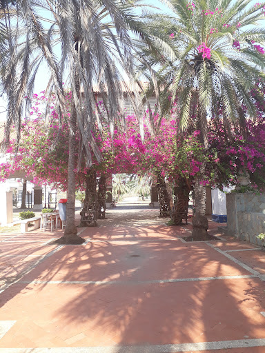 Universidad Bolivariana de Venezuela