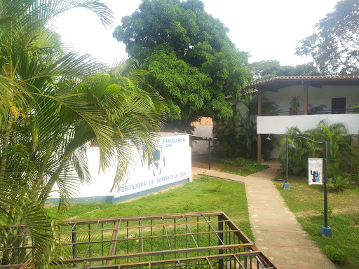 Universidad De Margarita